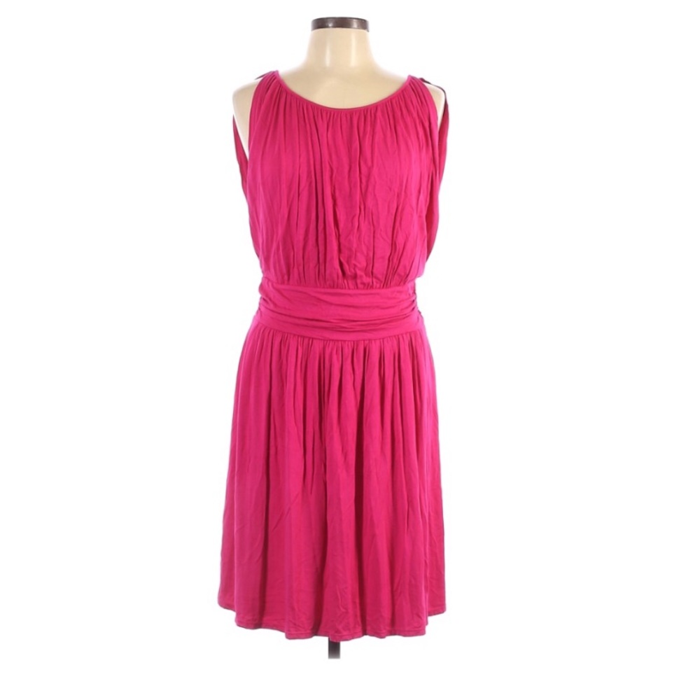 Express | Pink Dress